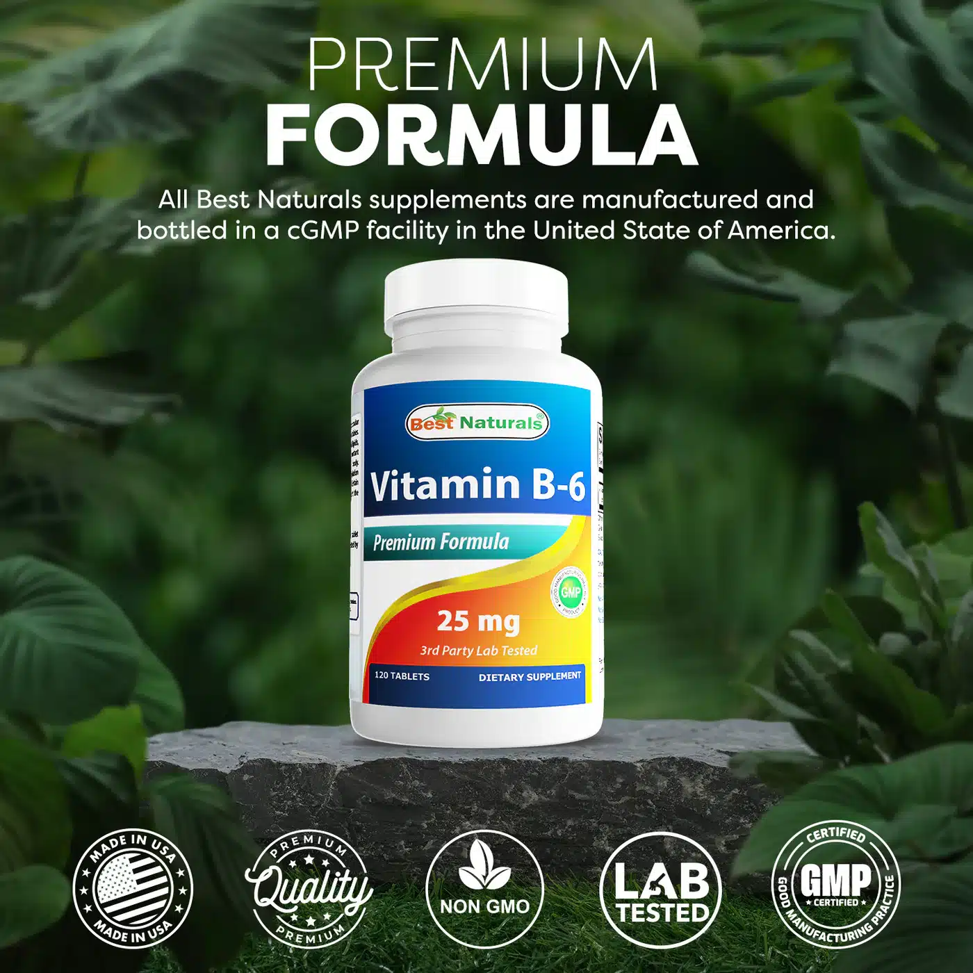 Vitamin B-6 supplement bottle on natural backdrop